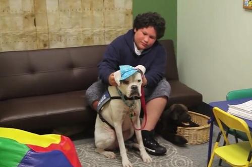 Little Girl Gives Her Deaf Dog A Signal While Identifying Her Abuser