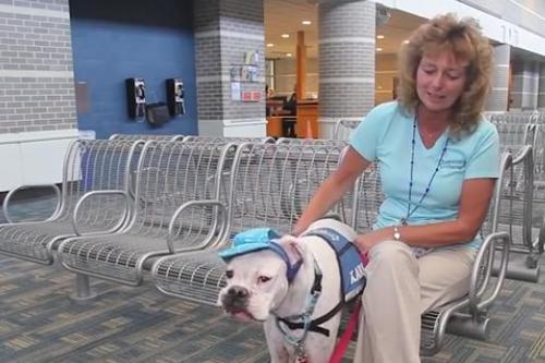Little Girl Gives Her Deaf Dog A Signal While Identifying Her Abuser