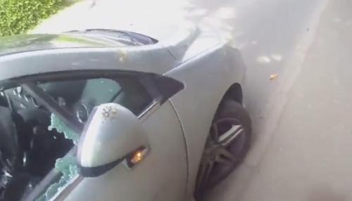 Officer Smashes Car Window To Rescue Dog Locked Inside