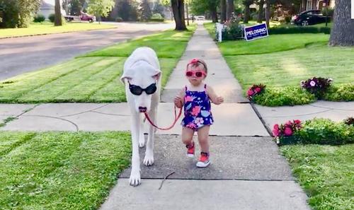 Little Girl And Her Deaf Rescue Dog Share Caring Bond