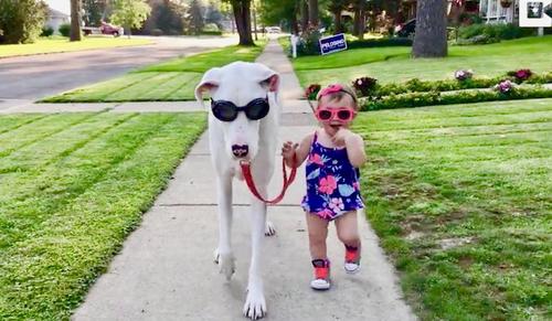 Little Girl And Her Deaf Rescue Dog Share Caring Bond