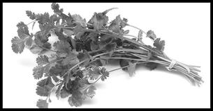Guess The Food #10: Can You Recognize These Foods Without Color?