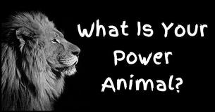 What Is Your Power Animal?