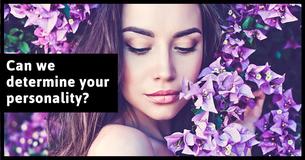 This Test Will Determine Your Personality Type Based On How You Perceive Colors