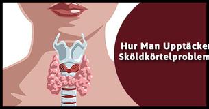 Allt Du Behöver Veta För Att Upptäcka, Diagnostisera och Behandla Sköldkörtelproblem  