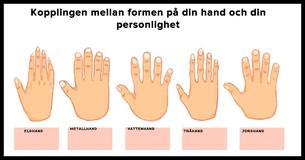 Hur Din Personlighet Förhåller Sig Till Formen På Dina händer
                                        
                                    