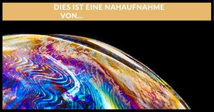 Du bist ein Genie, wenn Du ALLE 13/13 dieser Nahaufnahmen erkennen kannst
                                    