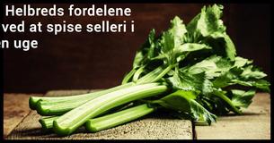 Transformer din krop ved at spise selleri I en uge                                        
                                    