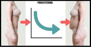 9 hormonas que causan aumento de peso y cómo puedes prevenirlo                                        
                                    