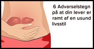 6 Tegn på at en usund livsstil påvirker din lever                                        
                                    