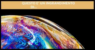 Se riesci ad identificare TUTTE e 13 queste immagini in primo piano allora sei un genio           