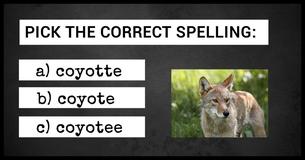 Can You Spell The Hardest Words In The English Language?