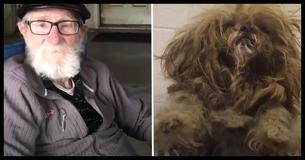 Dementia Patient Receives Unlikely Comfort from Daughter's Previously Neglected Foster Dog