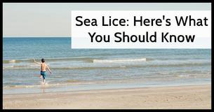 Sea Lice: What They Are And How To Avoid