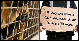 This Woman Tried To Ignore A Homeless Man, Until She Read These 5 Simple Yet Haunting Words On His Cardboard Sign