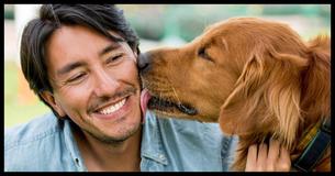 3 Schadelijke Consequenties Die Zich Kunnen Voordoen Wanneer Je Hond Je Gezicht Likt
