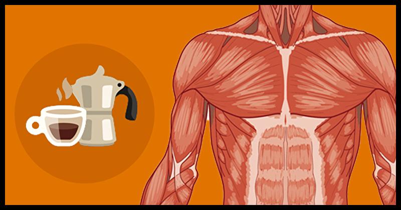 Add Coffee To Your Diet And Watch What It Does To Your Body