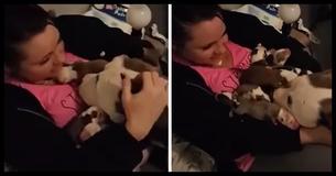 A Foster Dog Shows Amazing Trust By Placing All 11 Of Her Puppies In Her Owner's Lap - And Then Taking A Nap