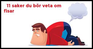 11 saker du bör veta om fisar som får dig att tänka annorlunda om dem                                        
                                    