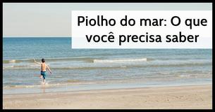 Piolhos do mar: o que são e como evitá-los 