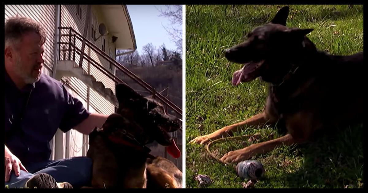 This Ohio State Police Officer Refused To Retire Without His K-9 ...