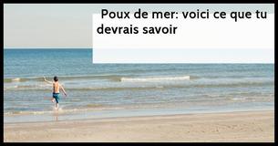 Poux de mer: ce qu'ils sont et comment les éviter                                        
                                    