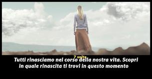 Ognuno di noi rinasce 7 volte durante il corso della sua vita, e noi possiamo rivelare quale rinascita stai vivendo in questo momento                                     
                                    