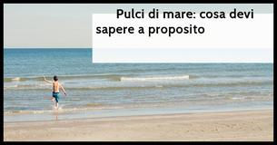  Pulci di mare: cosa sono e come evitarle                                       
                                    