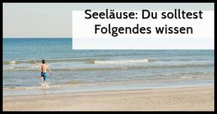 Meerläuse: Was sie sind und wie man sie vermeidet
                                    