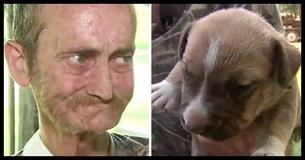 Dying Man Has One Final Wish - To Find His Dogs A Good Home