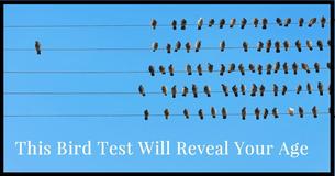 This Bird Test Will Reveal Your True Age