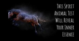 This Spirit Animal Test Will Reveal Your Inner Essence