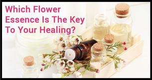 Which Flower Essence Is The Key To Your Healing?