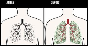 Estas técnicas totalmente naturais vão ajudar a limpar de vez o seu corpo da nicotina                                        
                                    