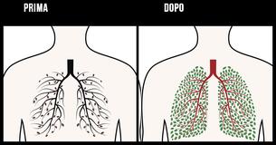 Queste tecniche completamente naturali ma efficaci ti aiuteranno a depurare il tuo corpo dalla nicotina per sempre                                        
                                    