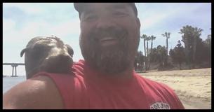 This Cuddly Sea Lion Taught A Kayaker Why Sea Lions Are Called The Dogs Of The Sea