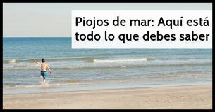 Piojos de mar: ¿Qué son y cómo evitarlos?