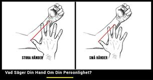 Man Kan Upptäcka Någons Personlighet Genom Att Ta En Titt På Deras Händer                                         
                                    