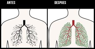 Estas técnicas naturales muy efectivas te ayudarán a desintoxicar tu cuerpo para siempre de la nicotina                                        
                                    