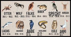 Entdecke Dein indianisches Tierkreiszeichen und seine Bedeutung