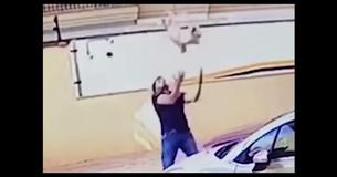 Hero Saves Dog From 9 Story Fall