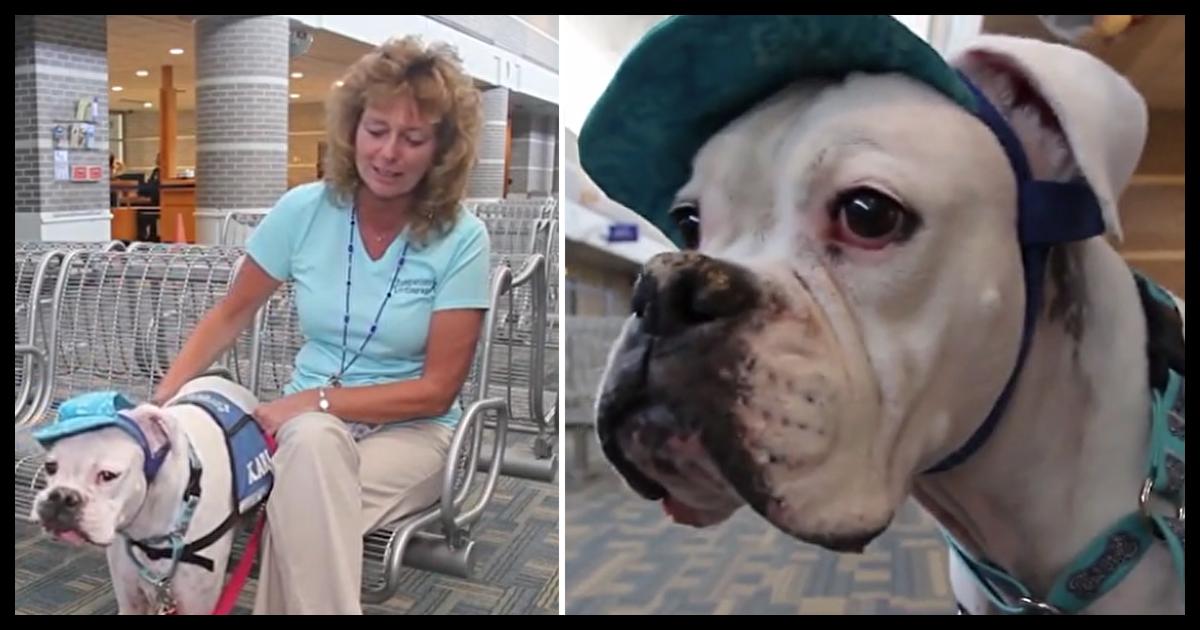 Little Girl Gives Her Deaf Dog A Signal While Identifying Her Abuser