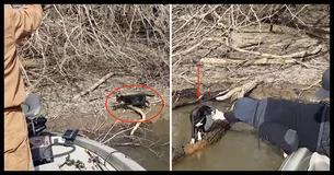 Puppy Is Rescued By Fishermen Who Heard A Whimpering Noise Coming From The Bushes On The Riverbank