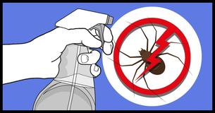 11 Natural Ways To Keep Spiders Out Of Your House Forever
