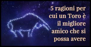 5 ragioni per cui quelli del Toro sono i migliori amici possibili