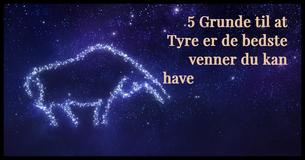 5 Grunde til at Tyre er de bedste venner                                        
                                    