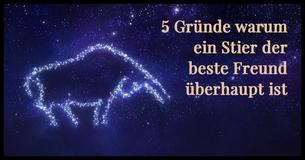 5 Gründe warum Stiere die besten Freunde sind
                                    