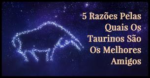 5 Razões Pelas Quais Os Taurinos São Os Melhores Amigos