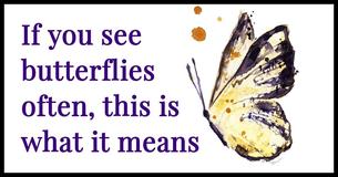 This Is What It Means If You See Butterflies Frequently