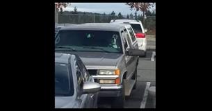 You’ll Crack Up When You See What This Boxer Did To Owner Who Left Him In The Car While Shopping